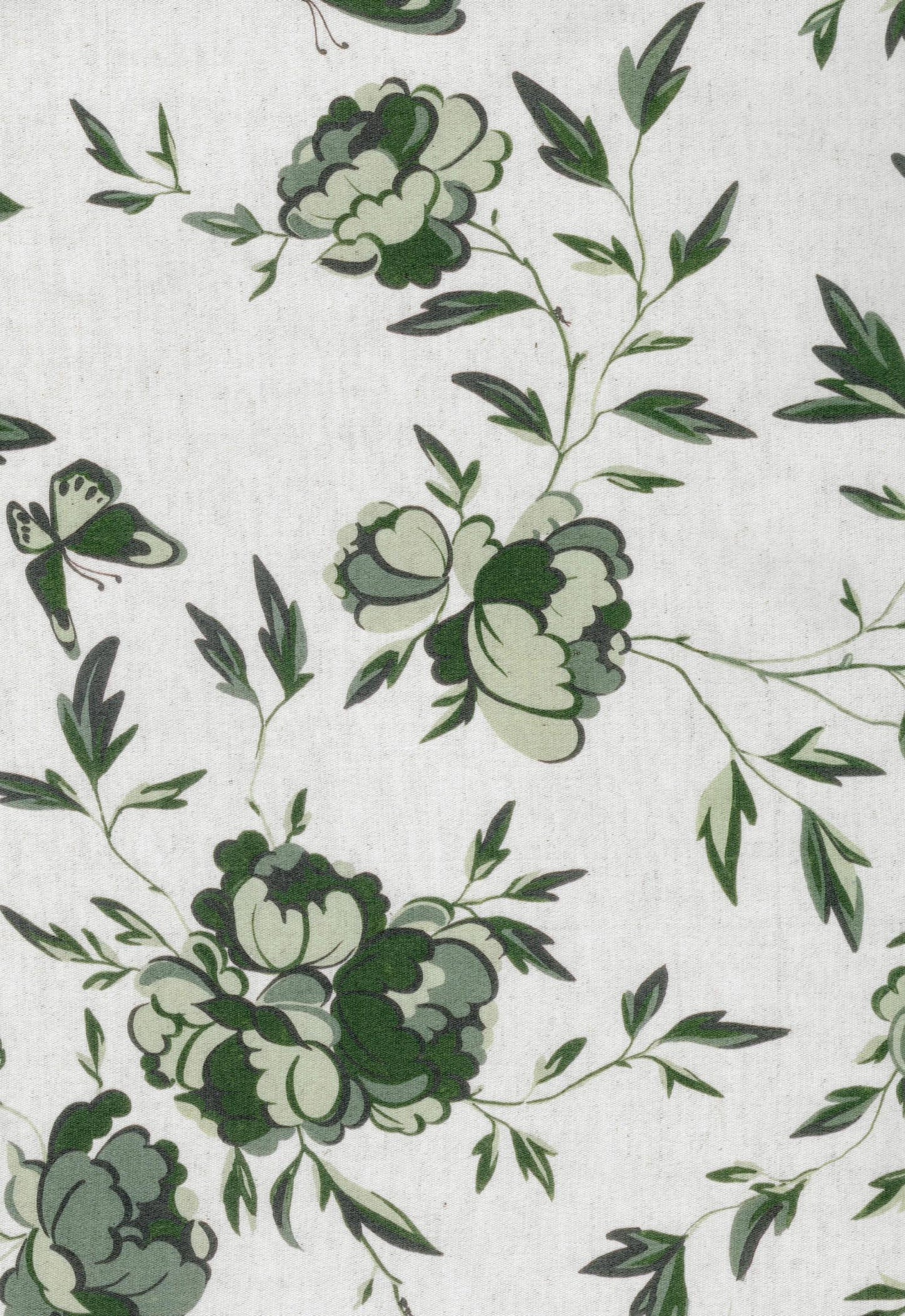 Tree Peony - Green