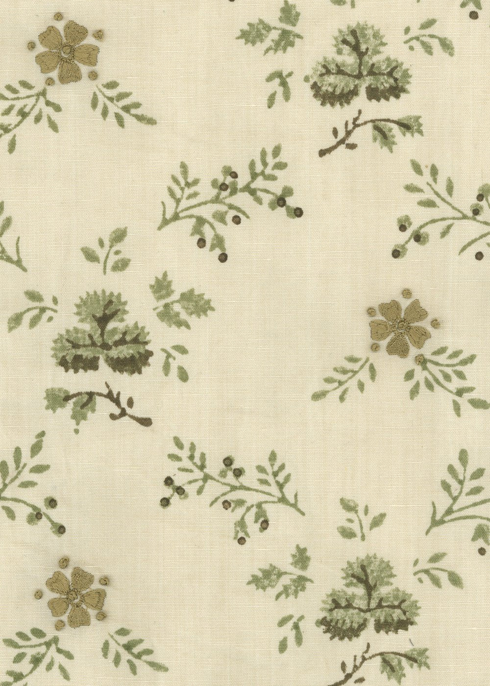 Lawrence - Goldenrod