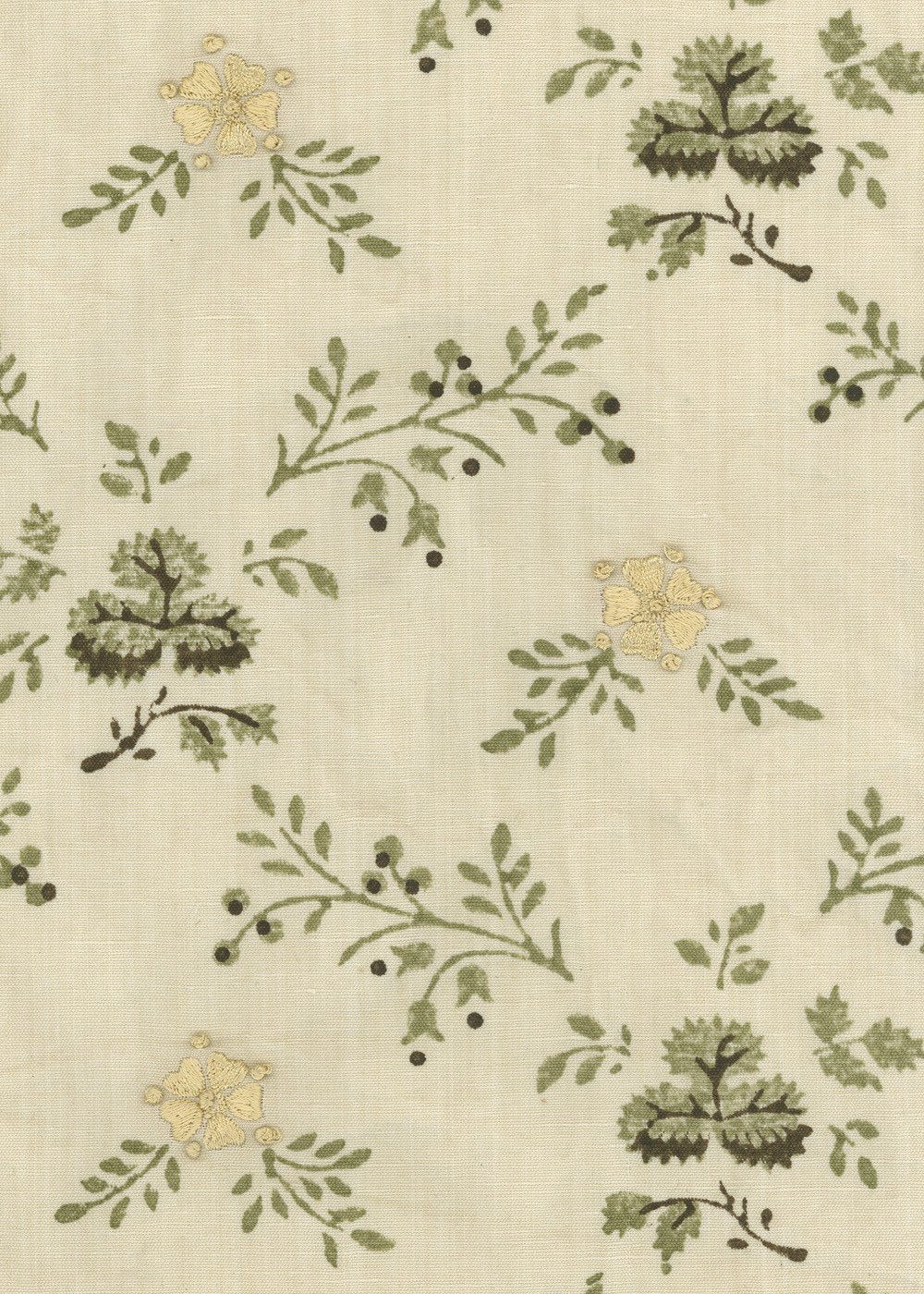 Lawrence - Soft Primrose