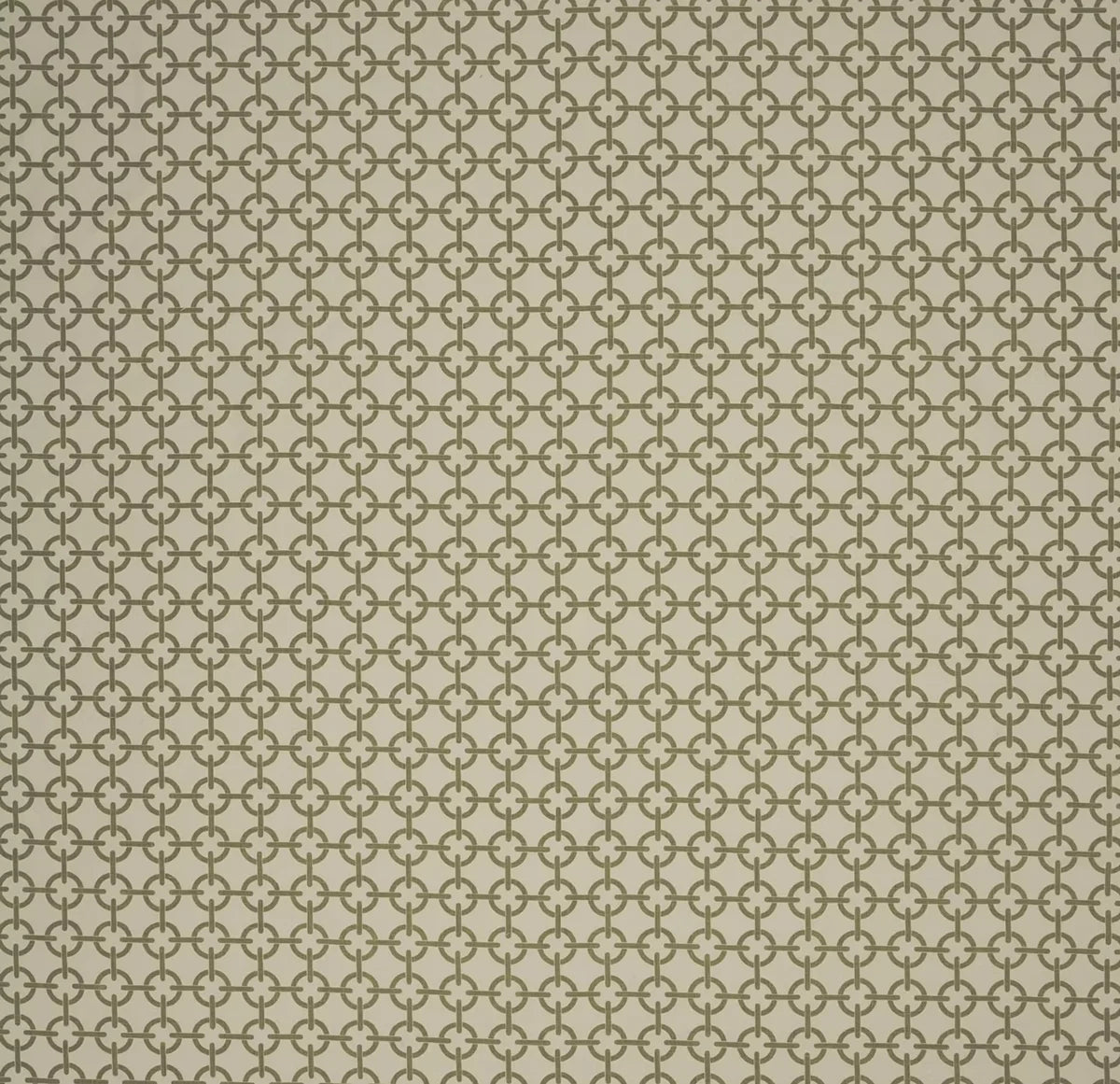 Compass - Olive / Cream