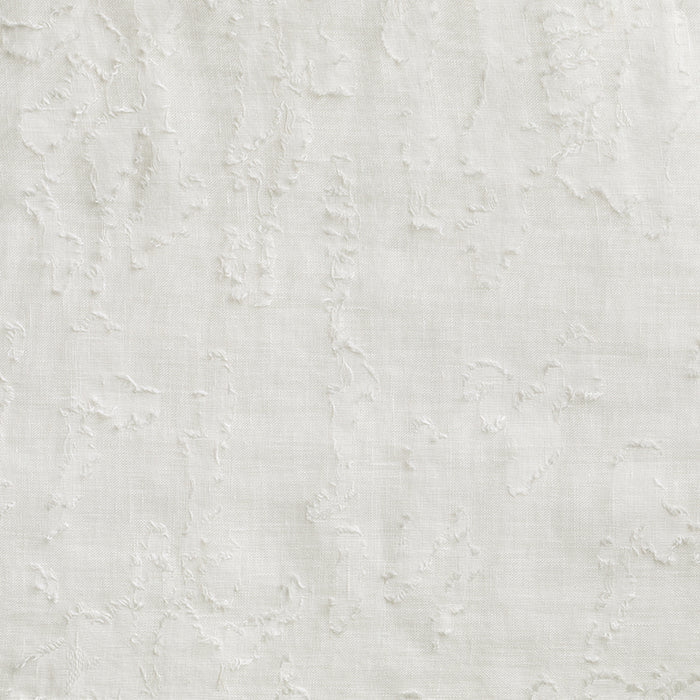 Fossil - Chalk
