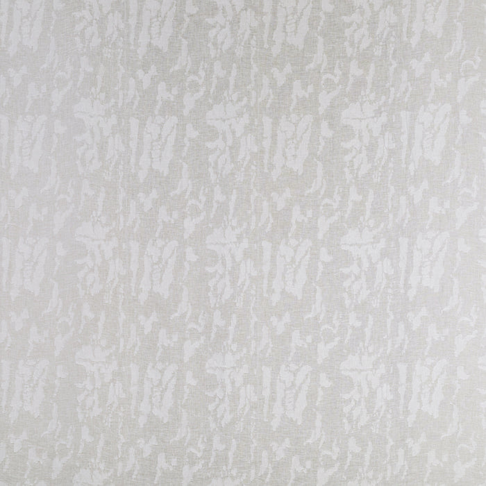 Fossil - Chalk