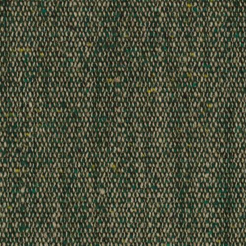 Egmont - Forest