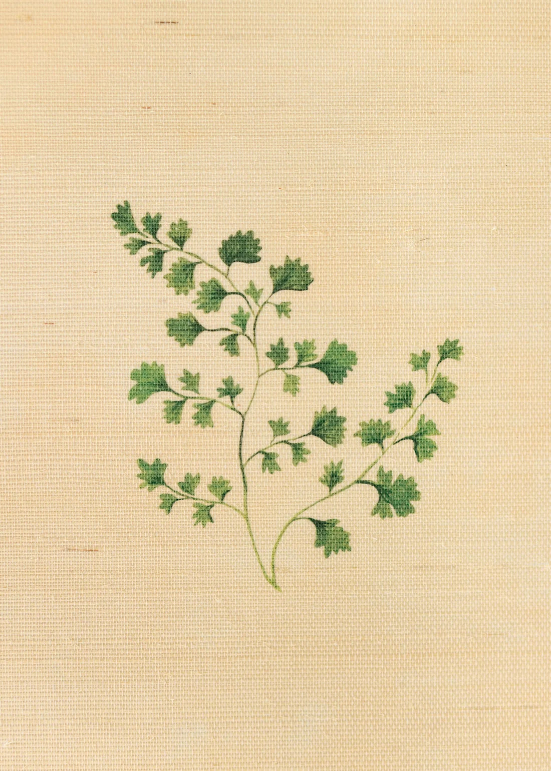Herbarium Forest Grasscloth Wallpaper - Blush