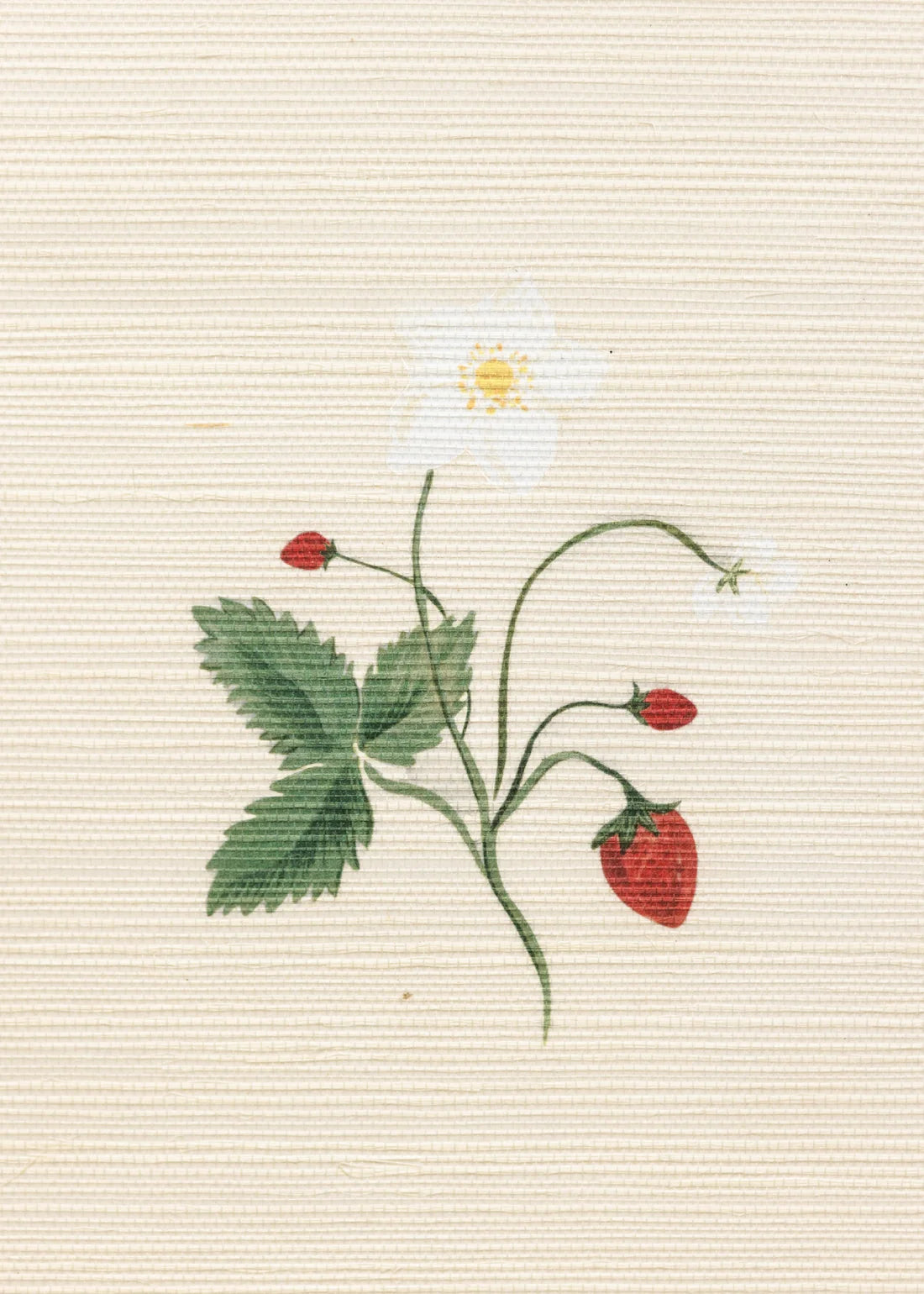 Herbarium Wildflower Grasscloth Wallpaper - Ivory