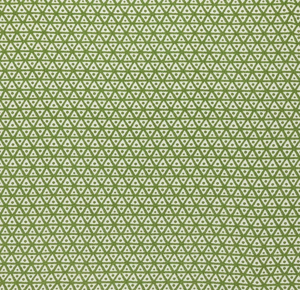 Zimba - Arugula