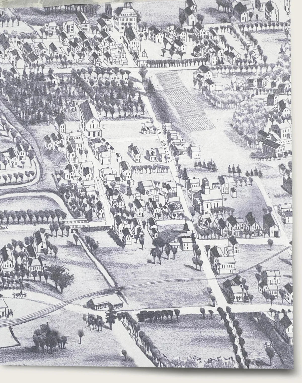 Village Green Wallpaper - Bullseye Blue