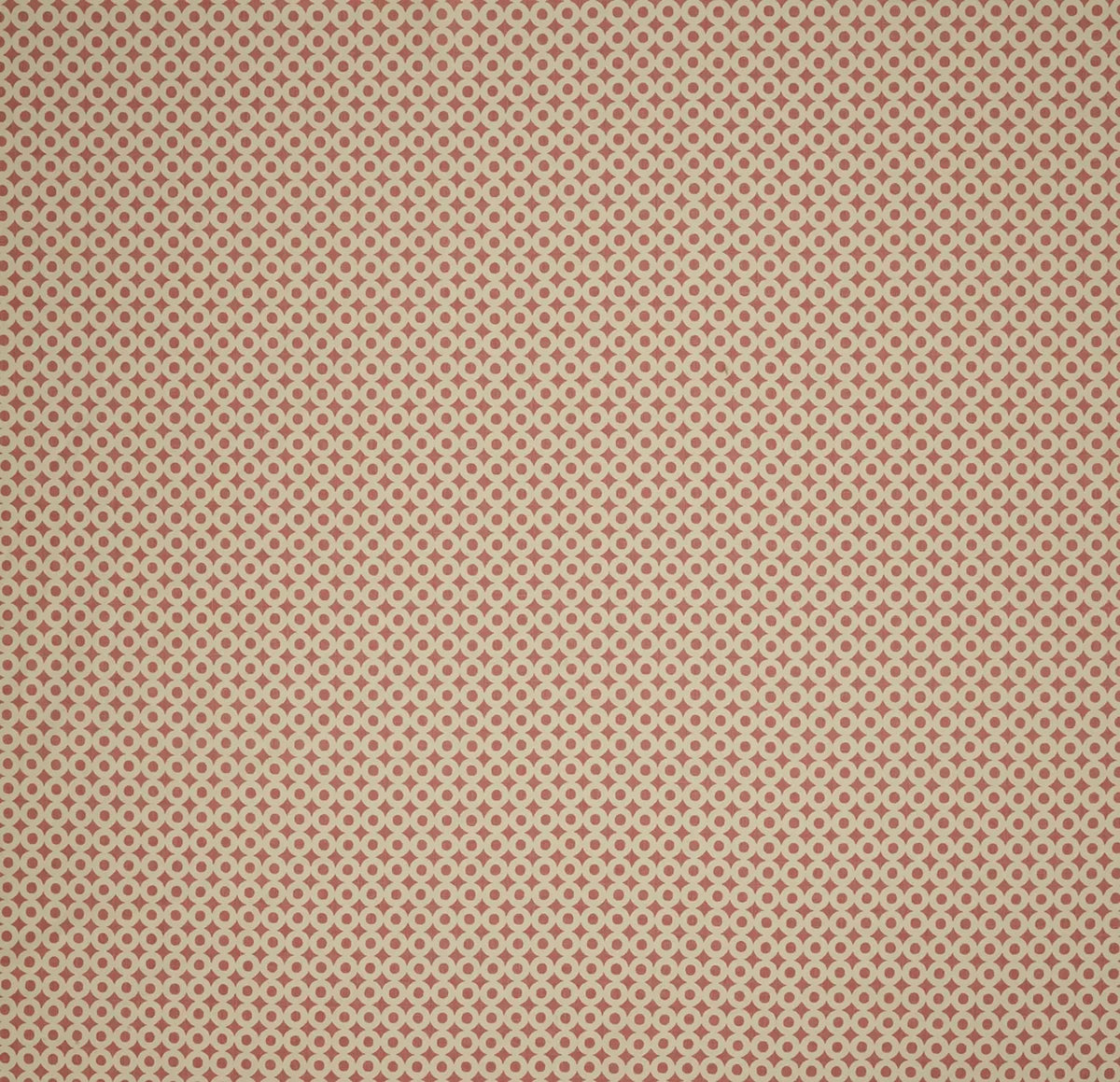 Polo - Rhubarb / Cream
