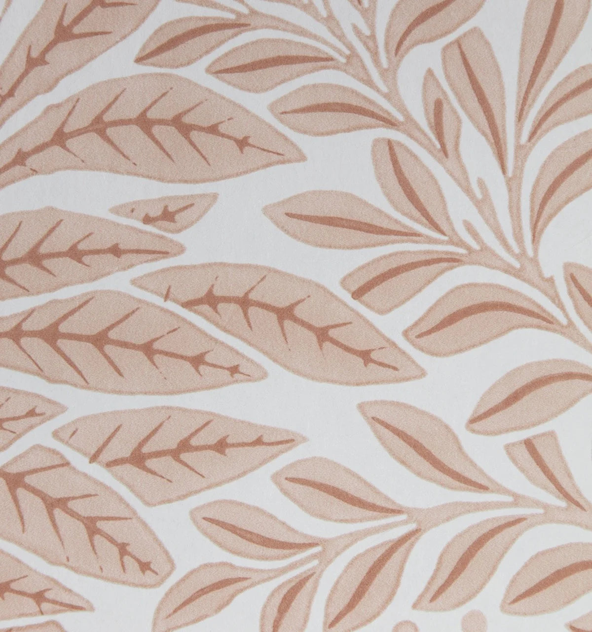 Imbali Wallpaper - Rose