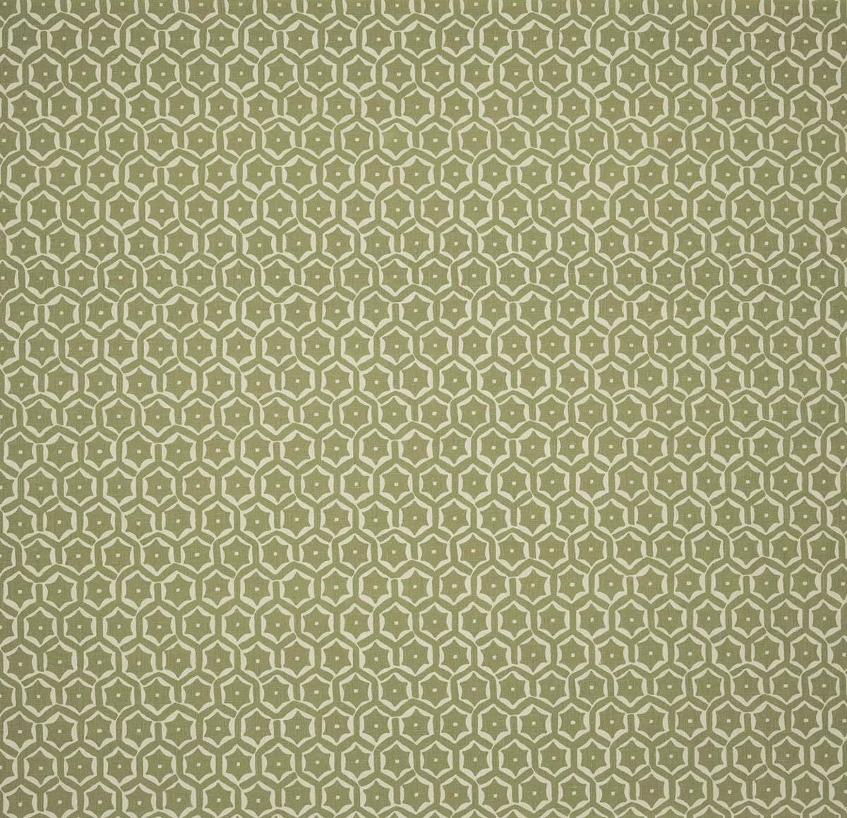 Medina - Olive / Cream