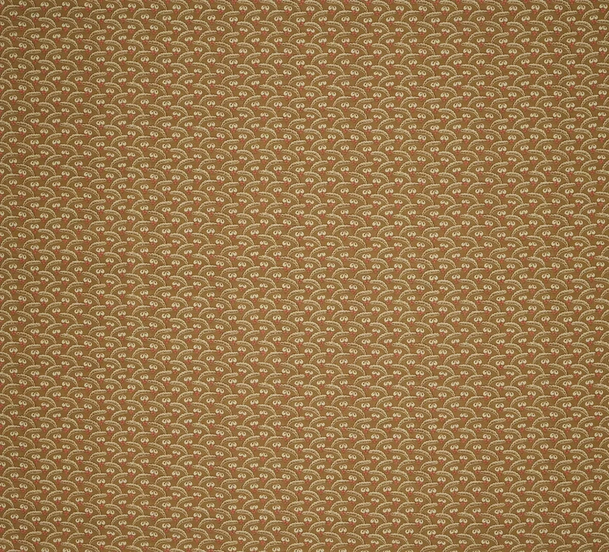 Myrtilles - Gingerbread