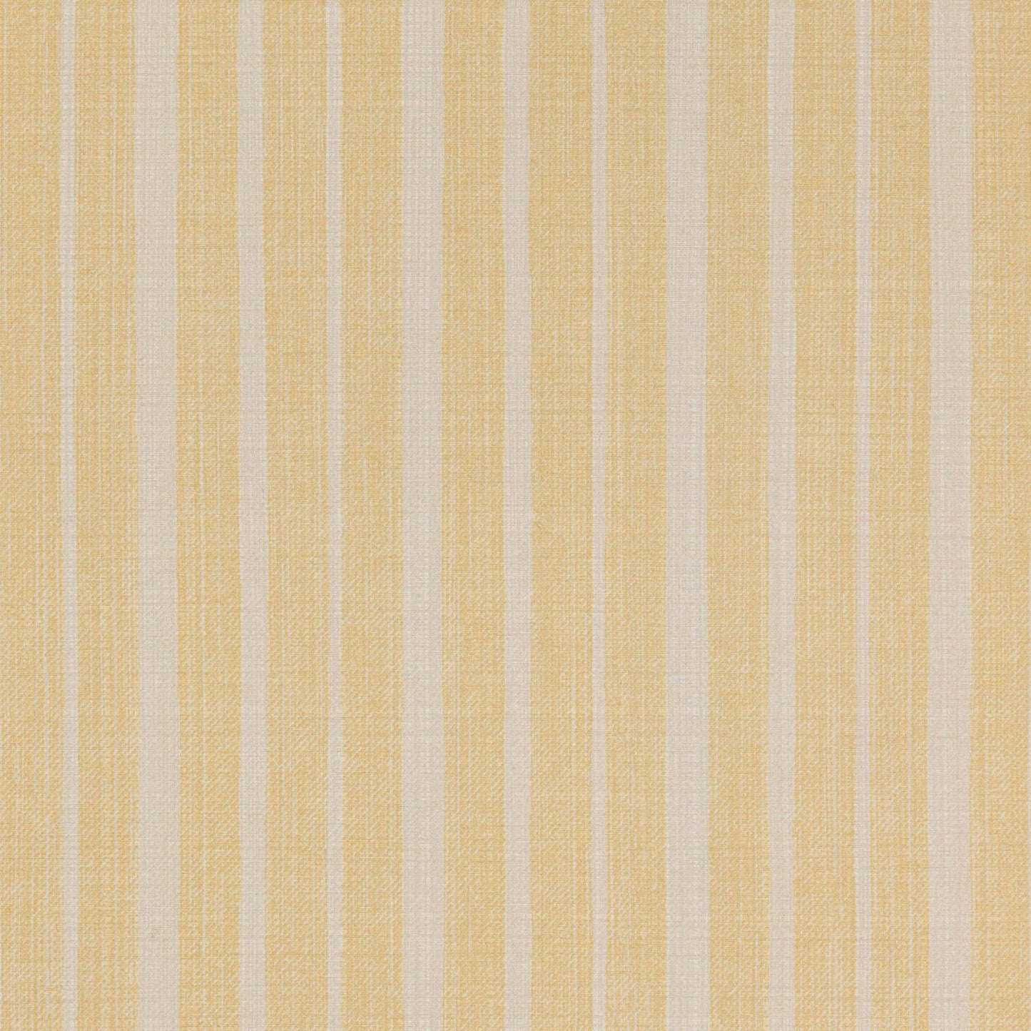 York Stripe - L-043