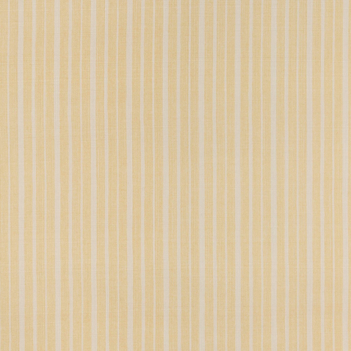 York Stripe - L-043