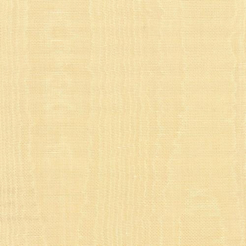Misa Moire Plain - Champagne
