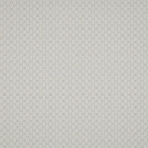 Monkey Nut Wallpaper - Dove