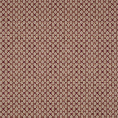 Monkey Nut Wallpaper - Morello