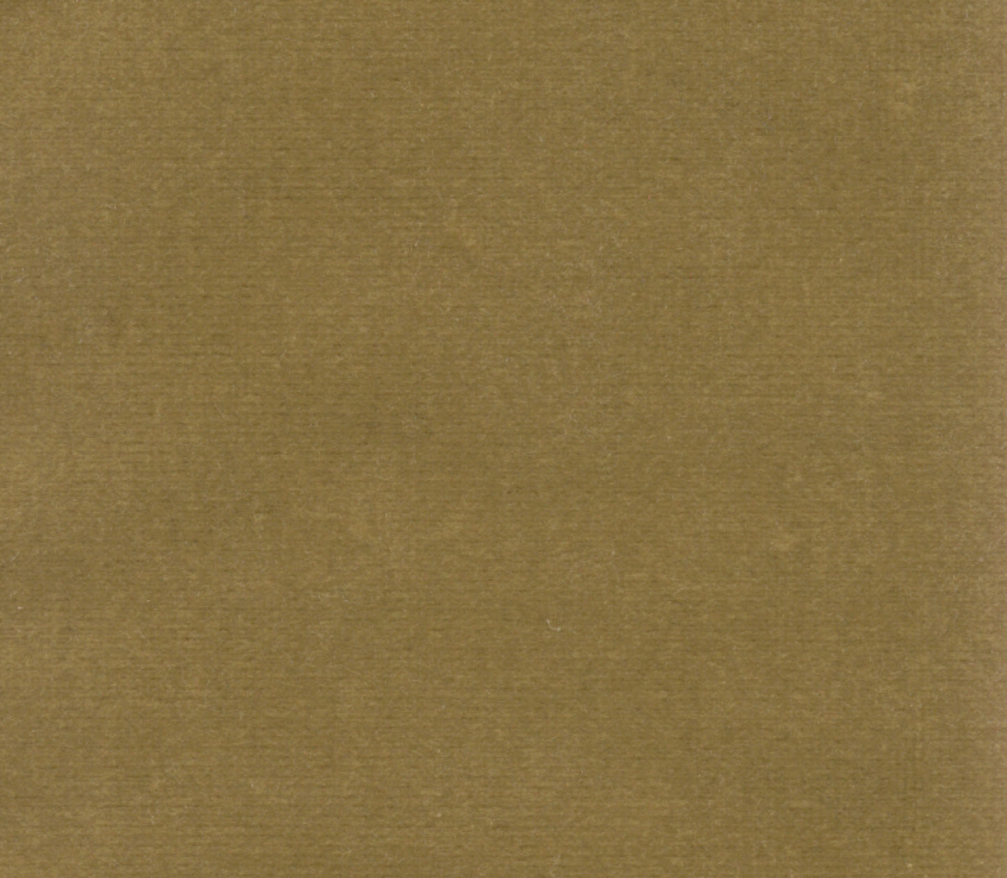 Safari - Lichen