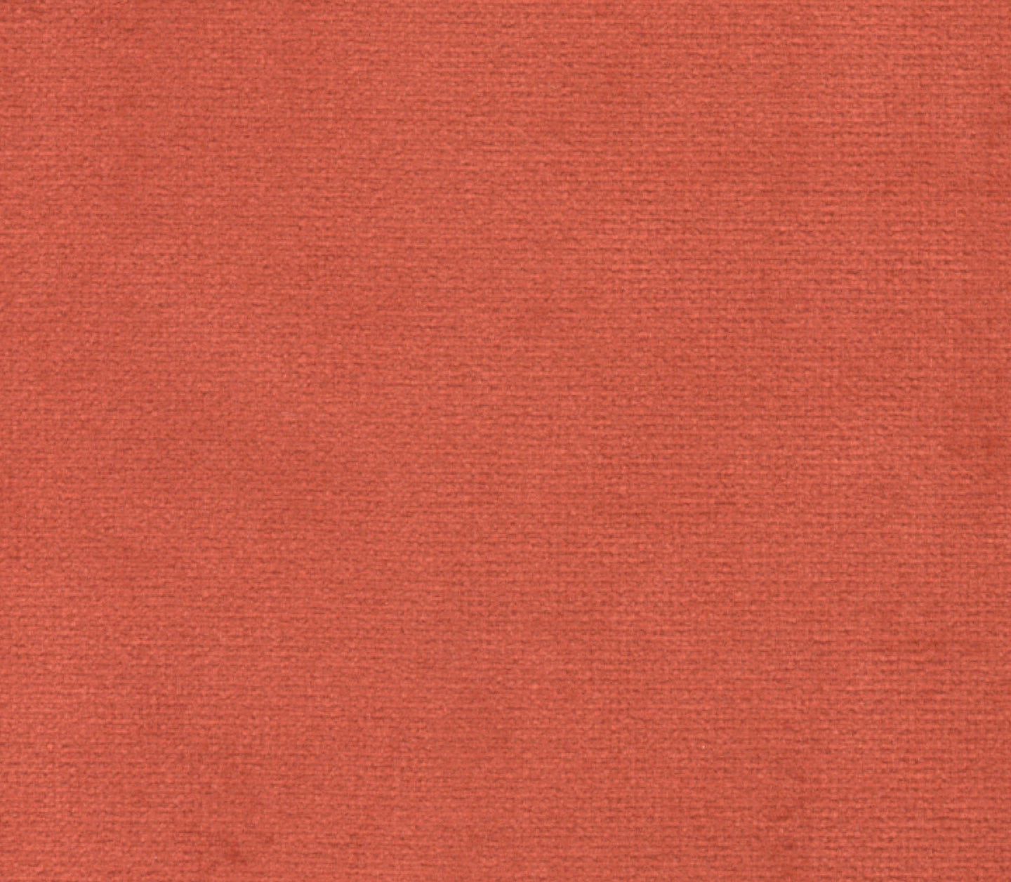 Safari - Cayenne