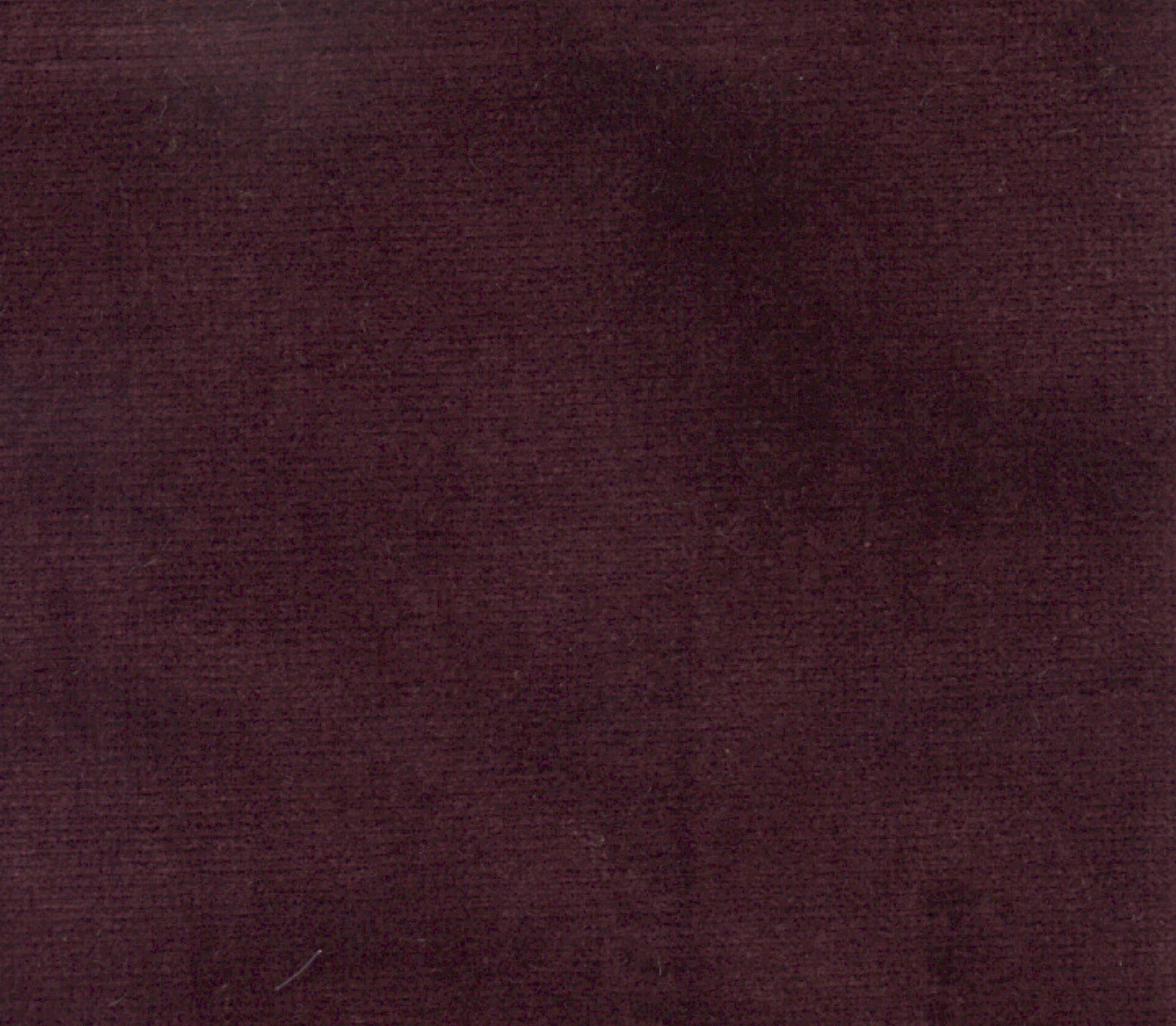 Safari - Damson
