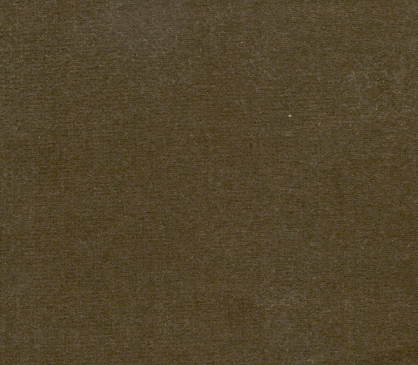 Safari - LIMITED STOCK Khaki