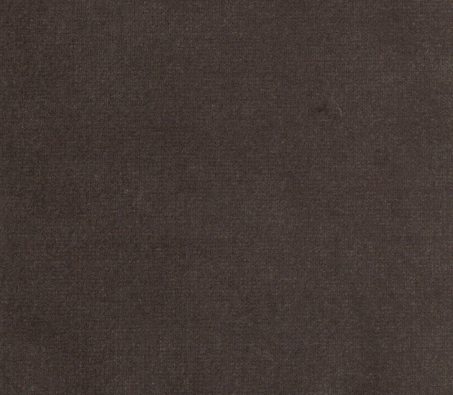 Safari - Mole