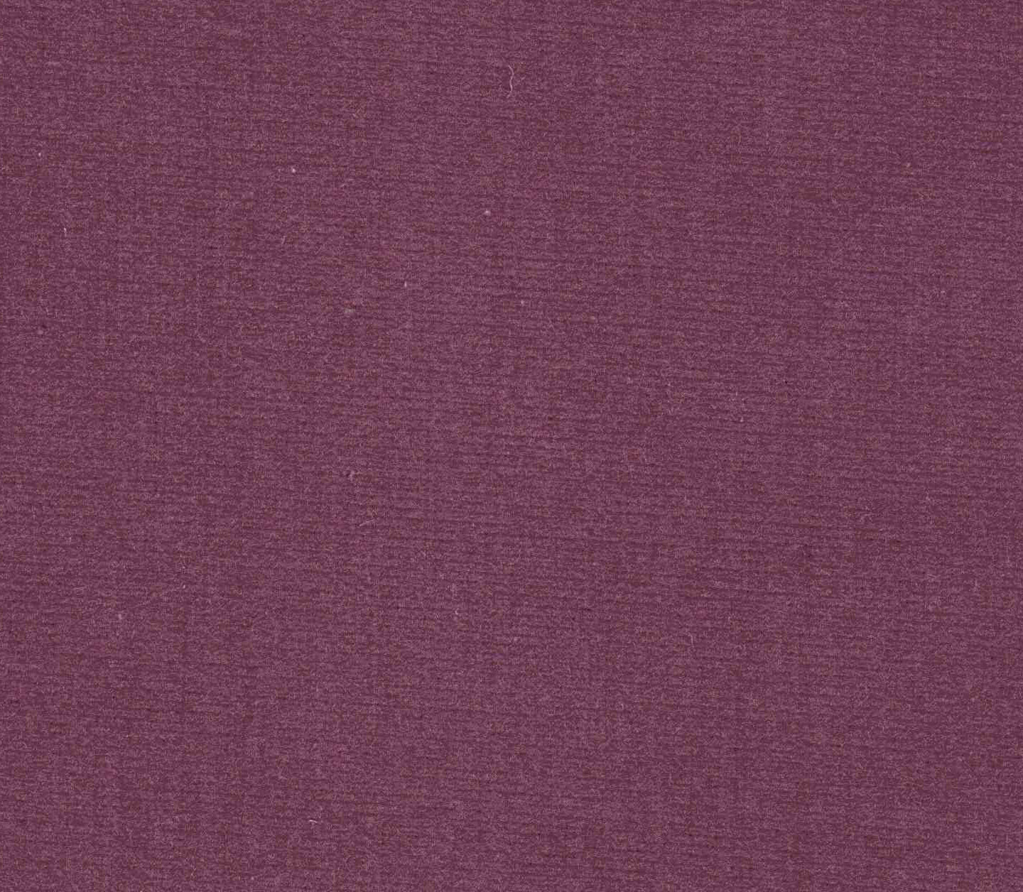 Safari - Heather