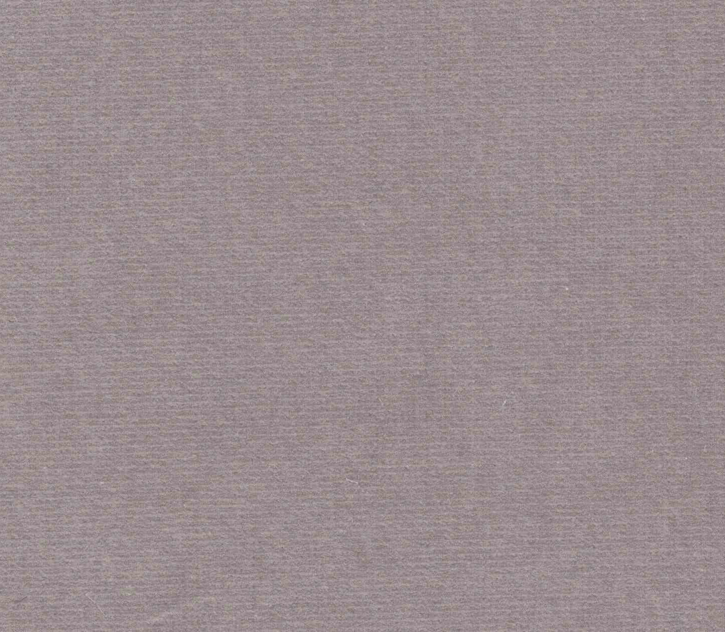 Safari - Grey