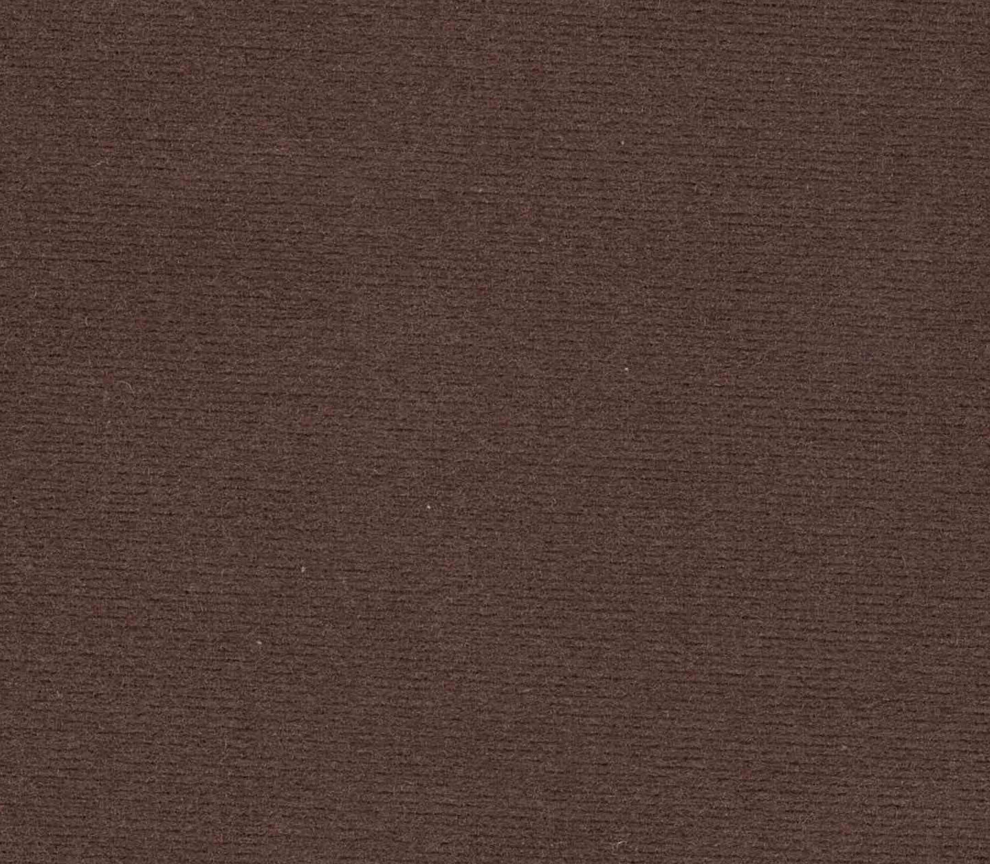 Safari - Mink