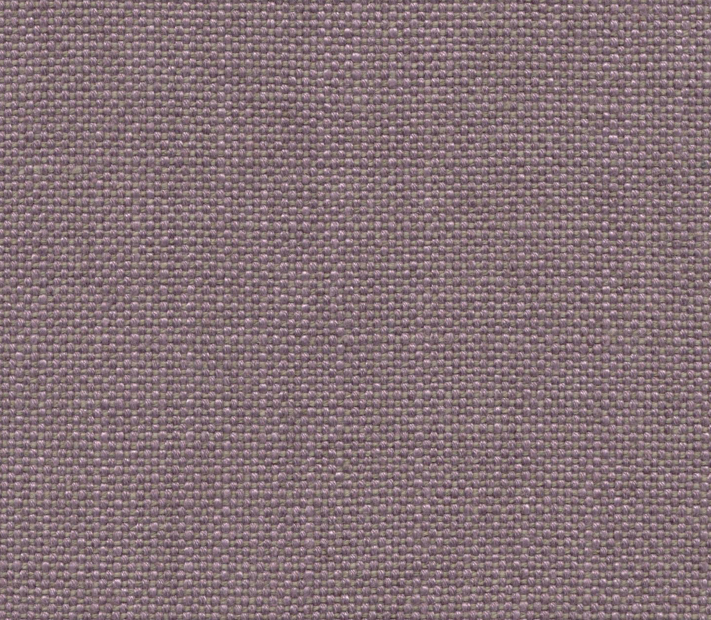 Serafina - Lavender