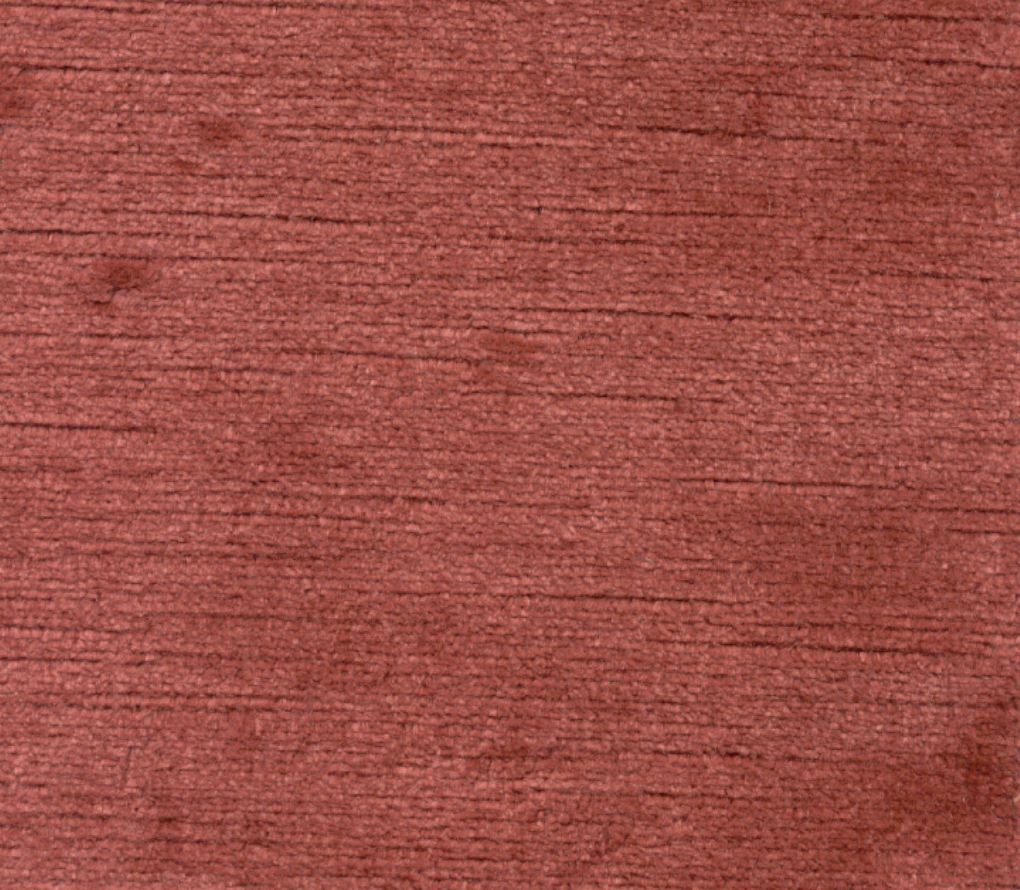 Titian - LIMITED STOCK Rose
