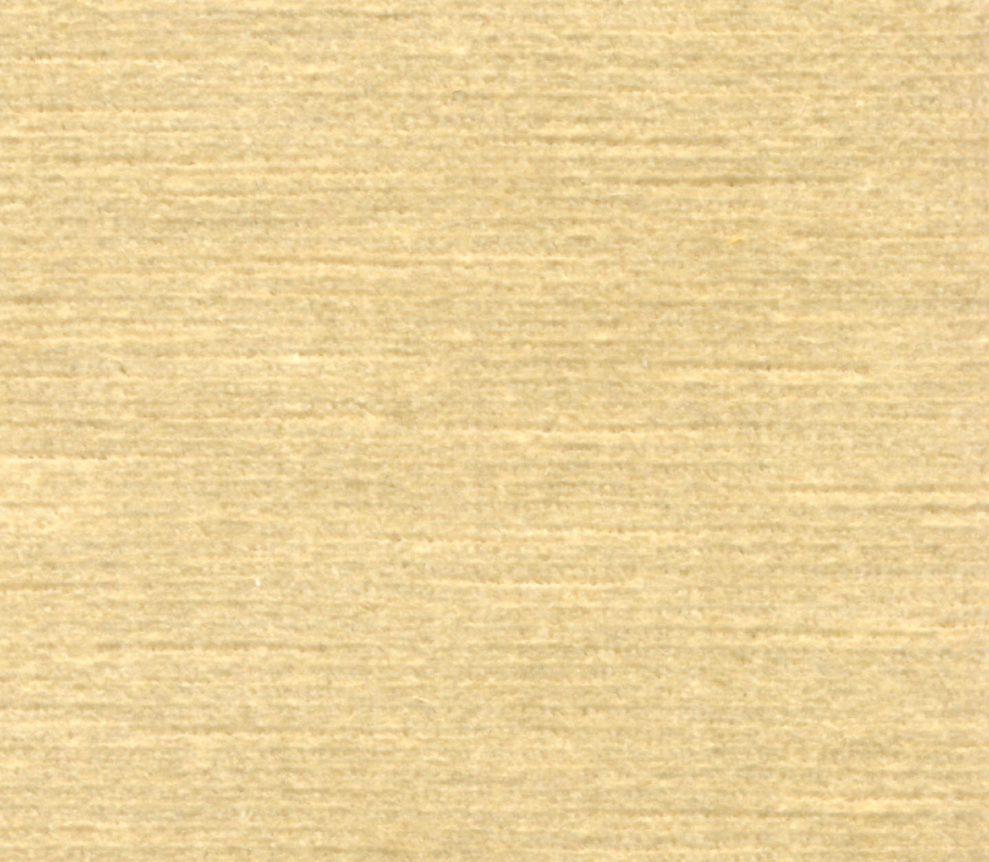 Titian - Champagne