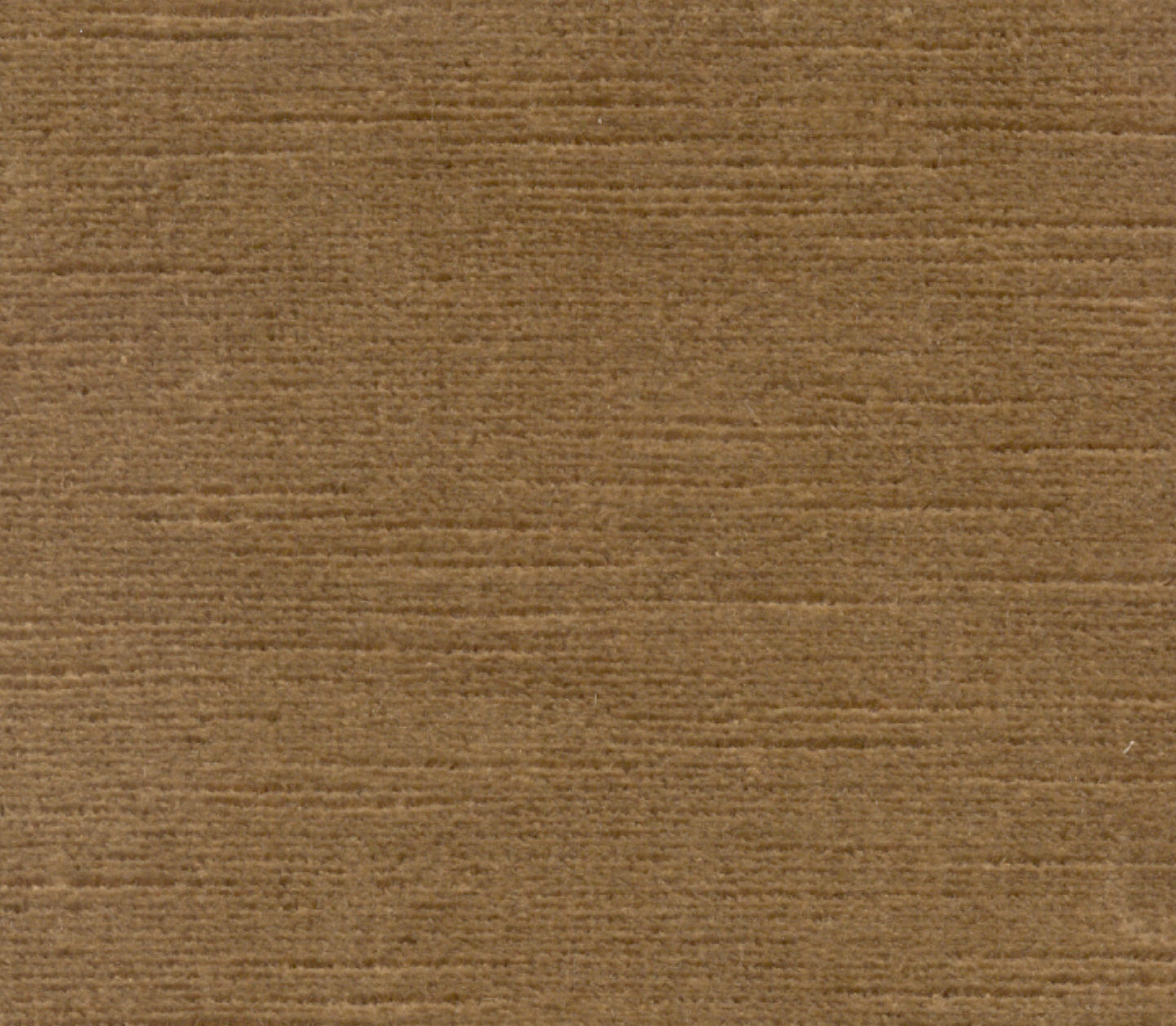 Titian - Hazel