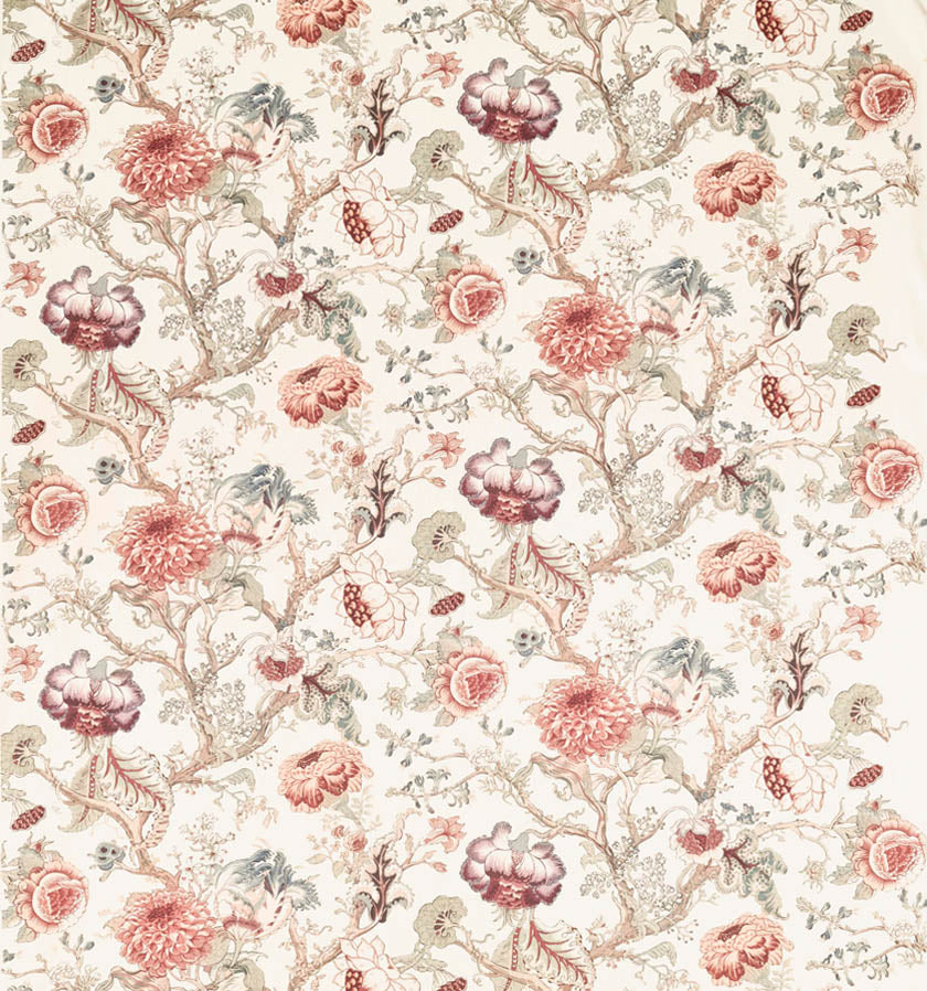 Tree Peony