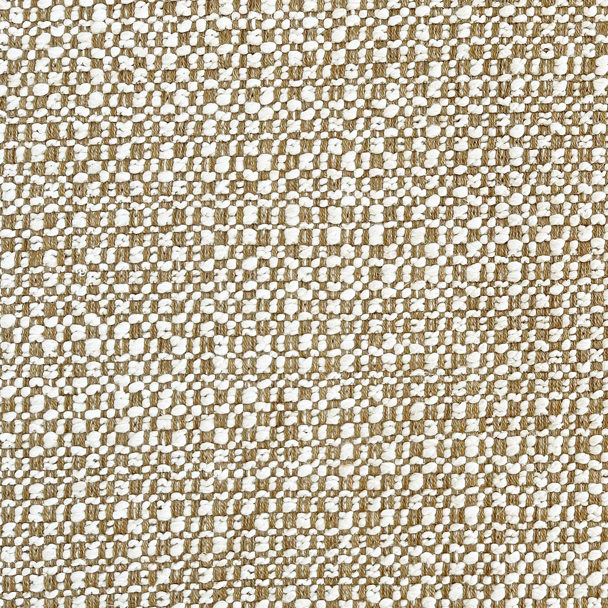 Dorset - Nutmeg