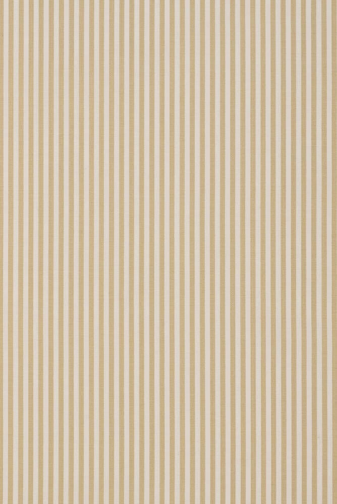 Candy Stripe - Putty