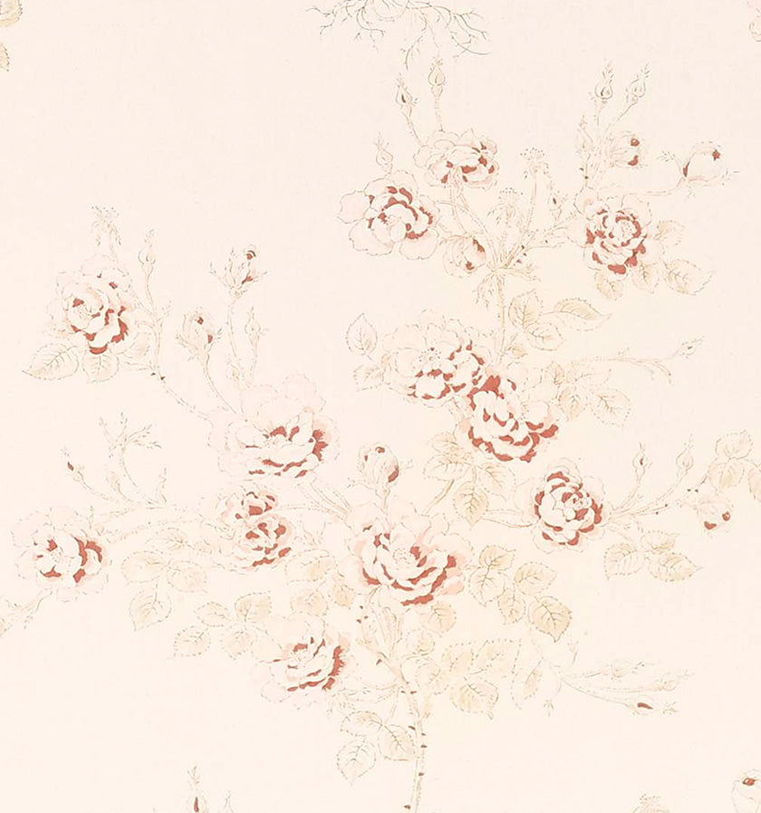 Rugosa
