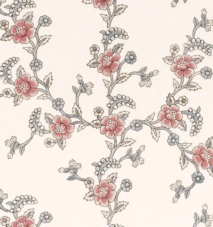 Syrian Rose