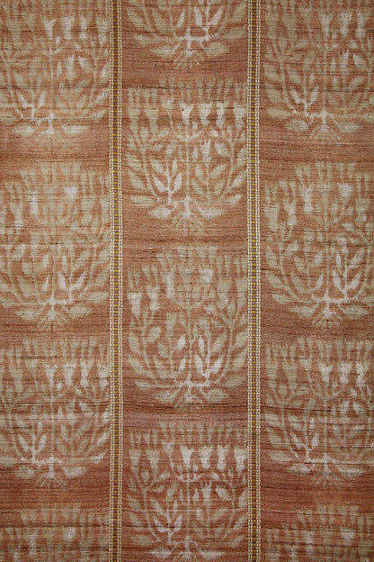Agra - Cayenne