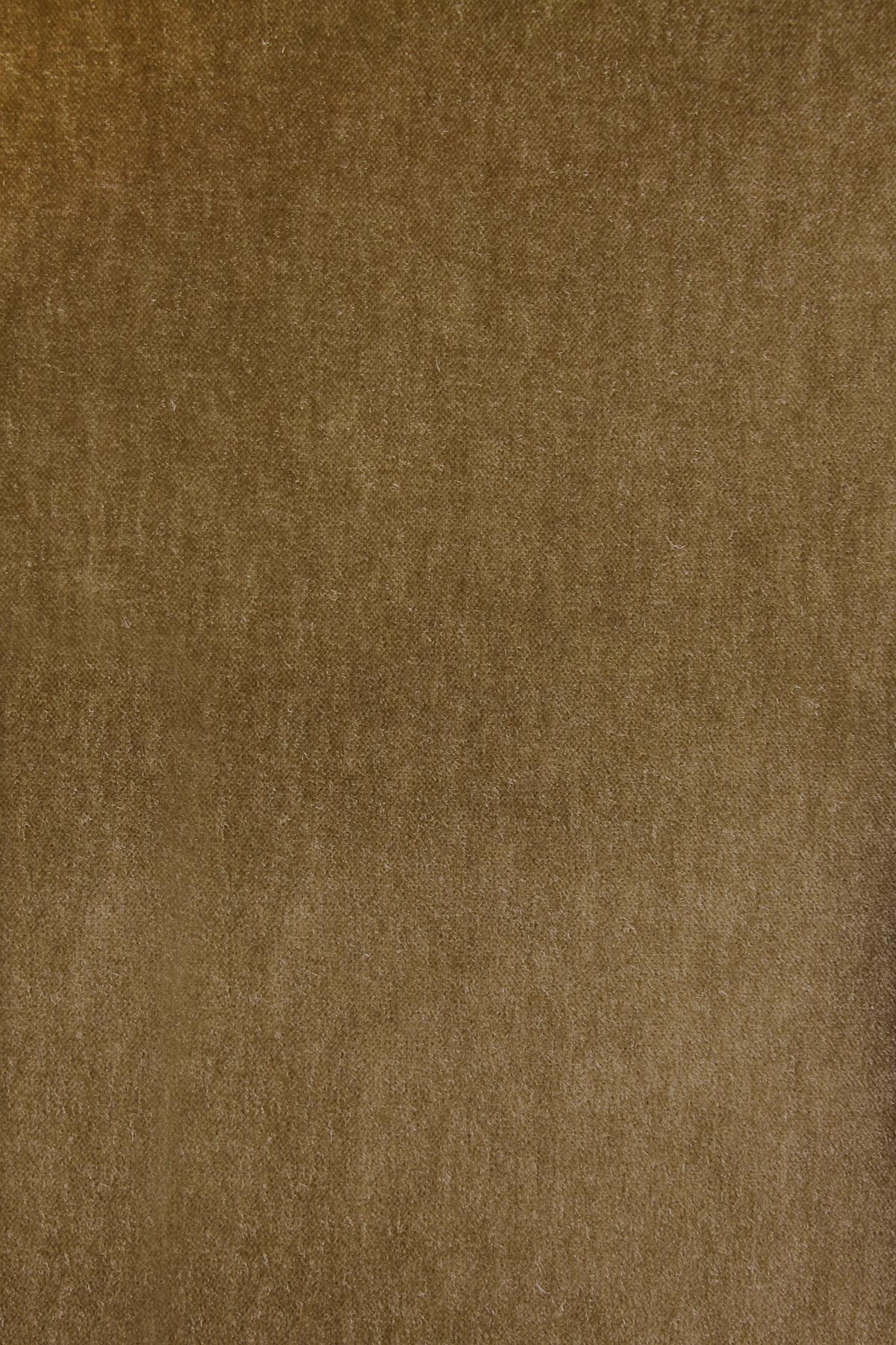 Shangri-La - Caramel