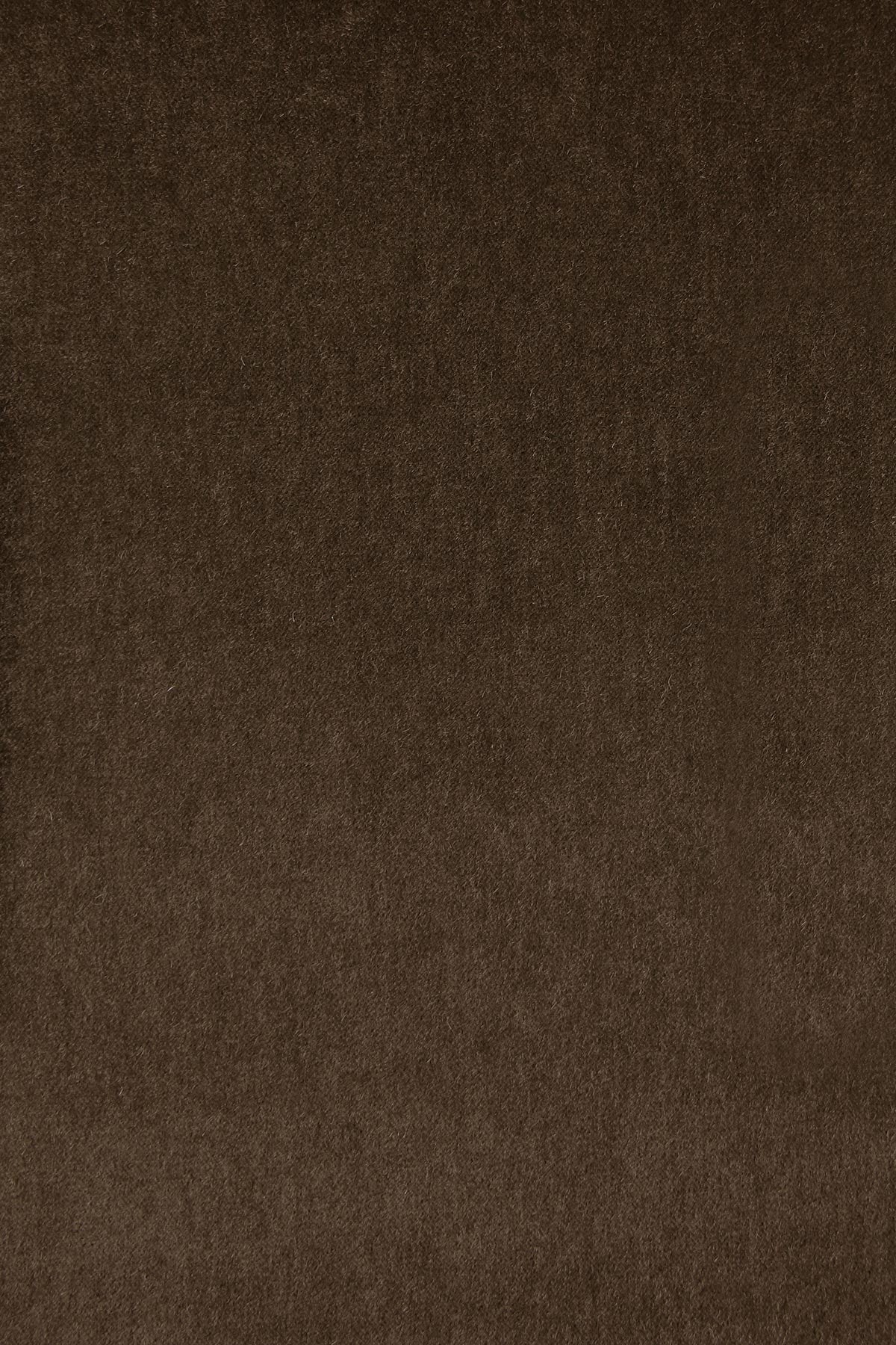 Shangri-La - Anise