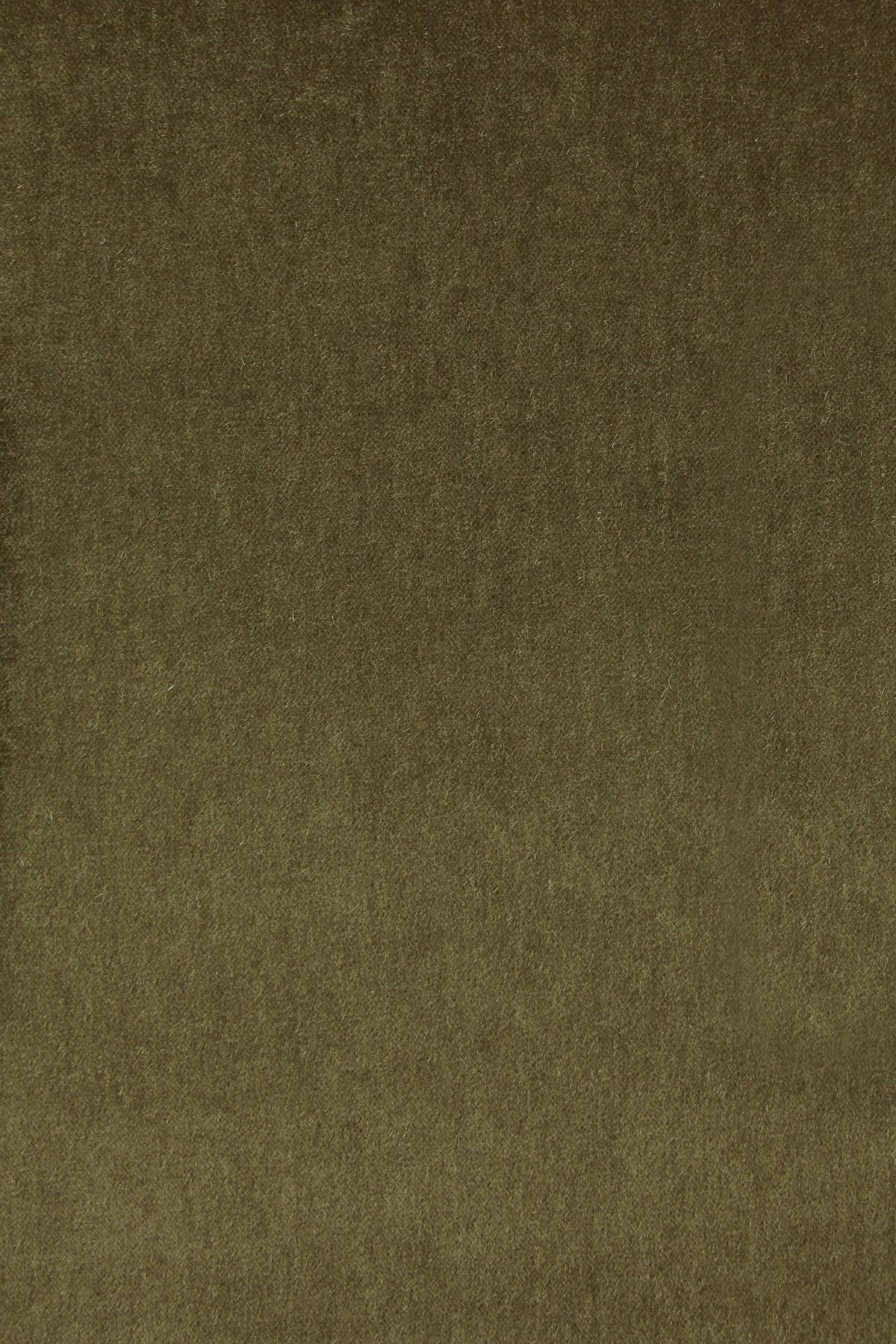 Shangri-La - Olive