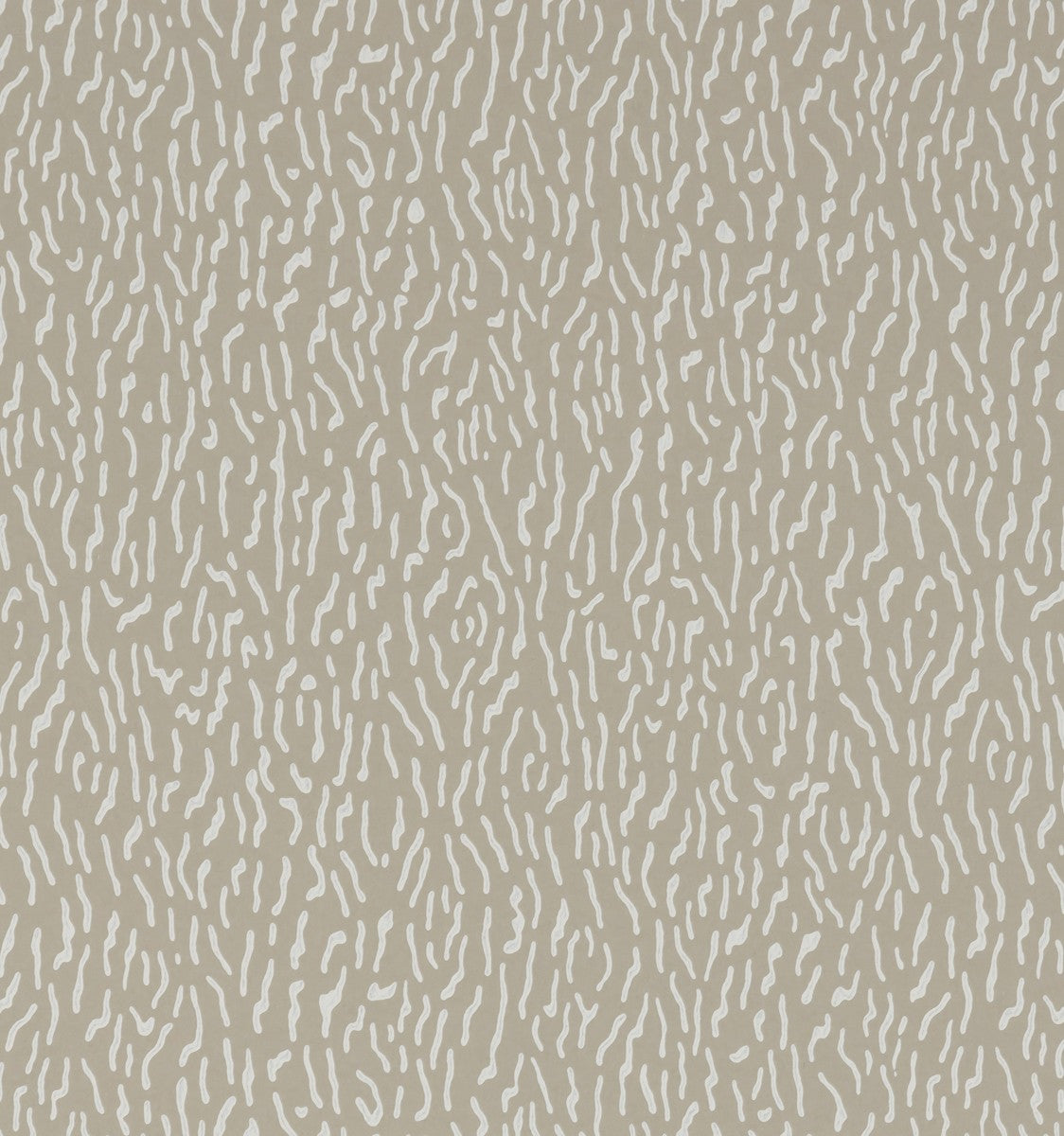 Sprint Wallpaper - Curlew