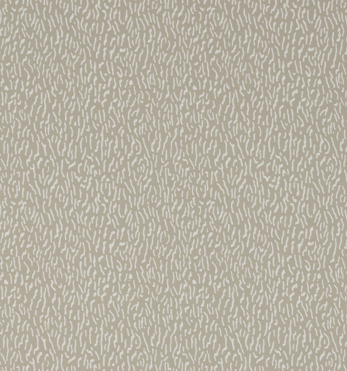 Sprint Wallpaper - Curlew
