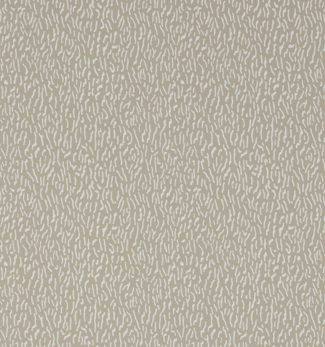 Sprint Wallpaper - Curlew