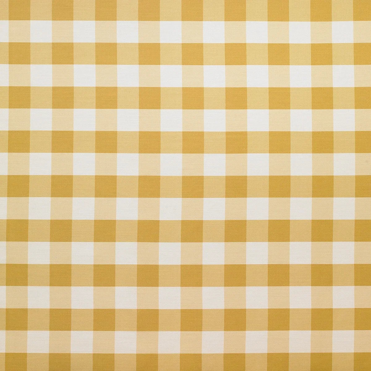 Little Check - Mustard