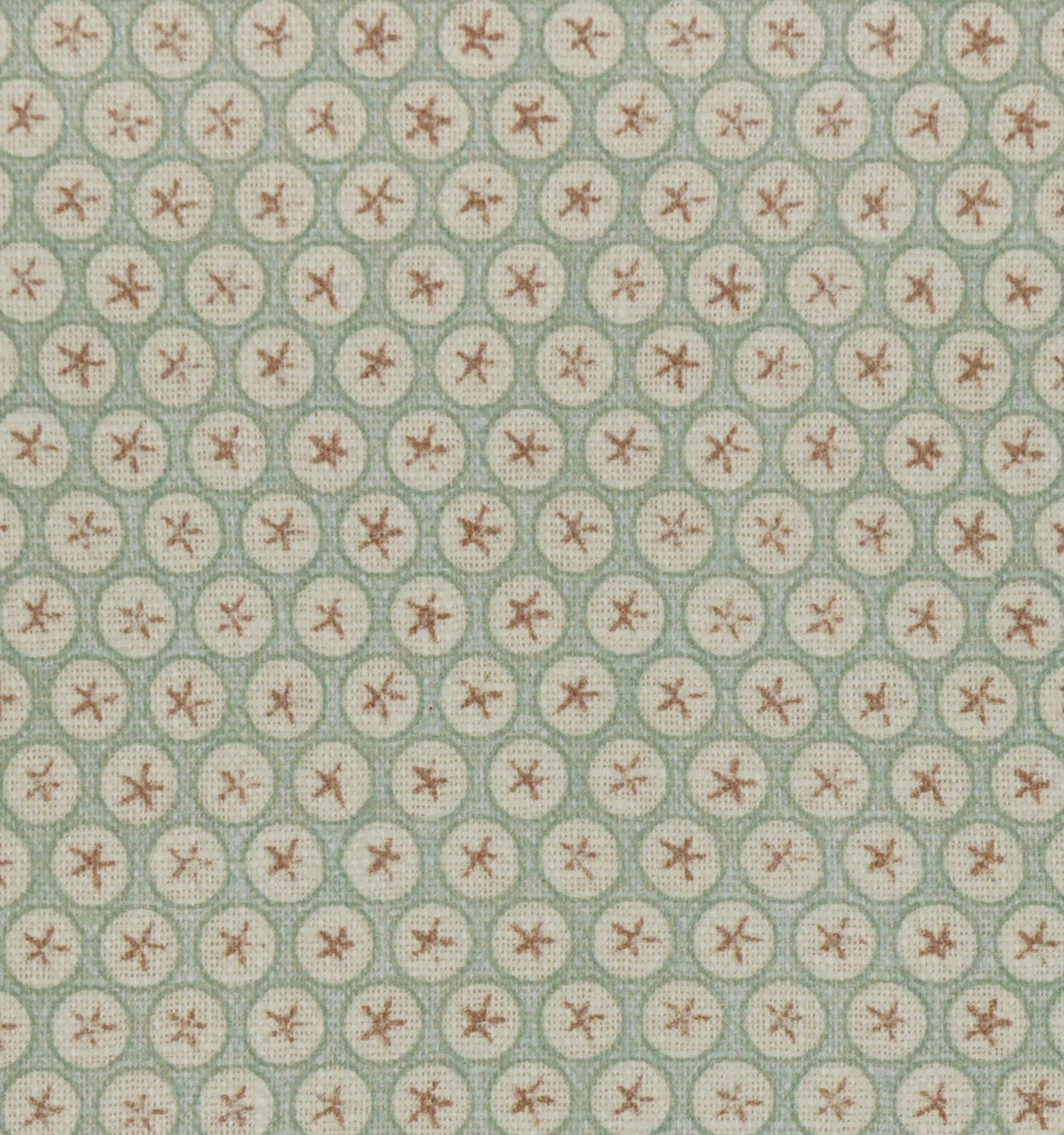 Cosmos - Clover