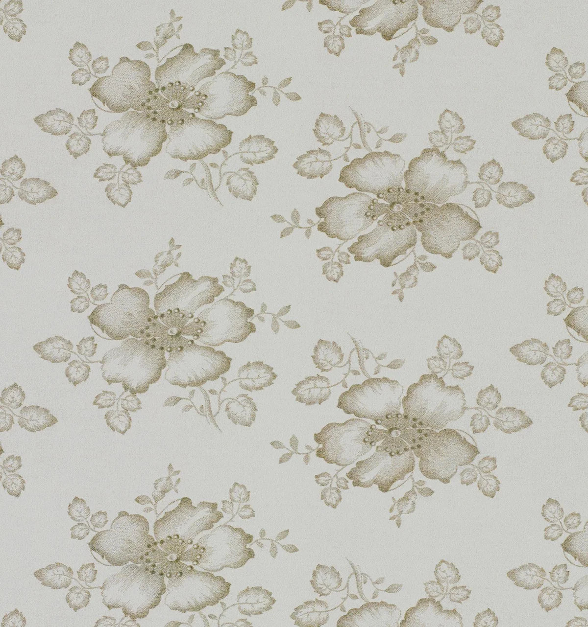Dog Rose Wallpaper