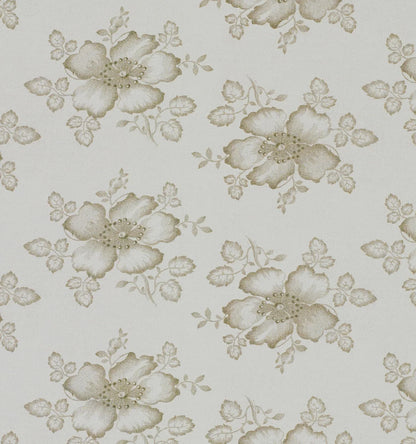 Dog Rose Wallpaper
