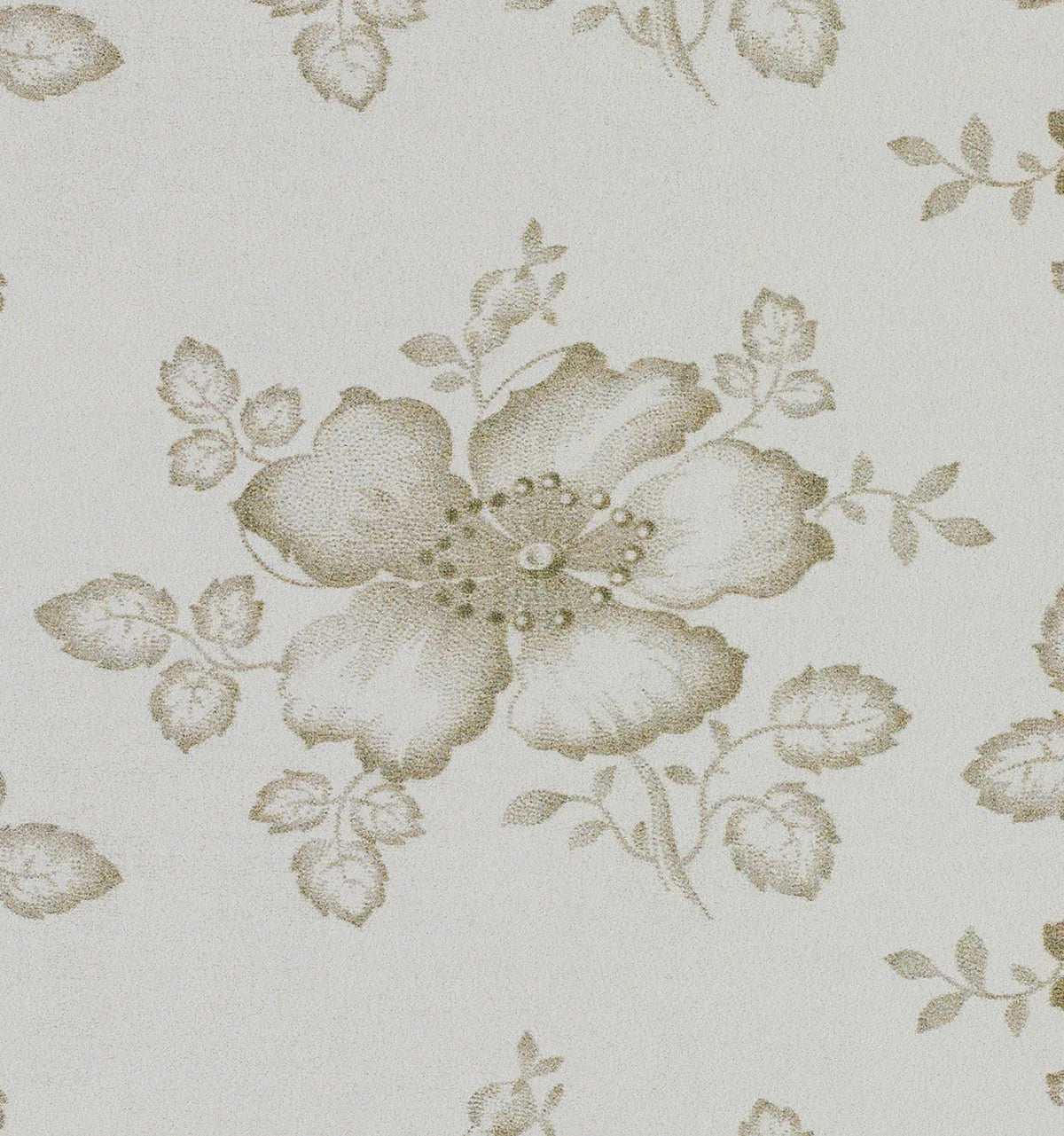 Dog Rose Wallpaper