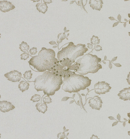 Dog Rose Wallpaper